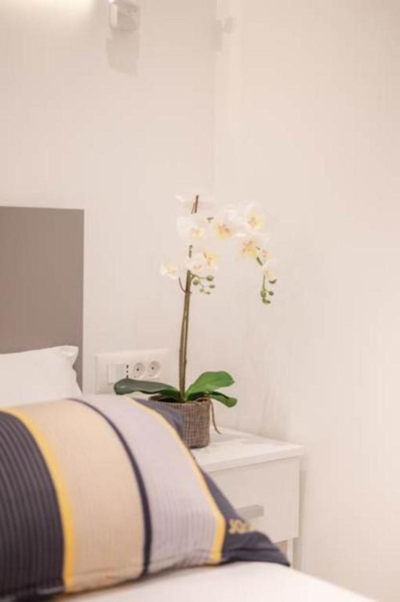 Canta Amore Suites Zadar Bagian luar foto